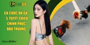 Cá Cược Đá Gà - 5 Tuyệt Chiêu Chinh Phục Đấu Trường