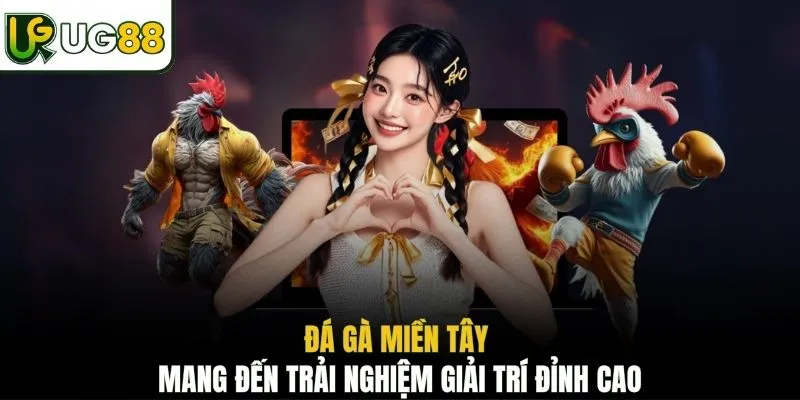 Đá gà miền Tây mang đến trải nghiệm giải trí đỉnh cao