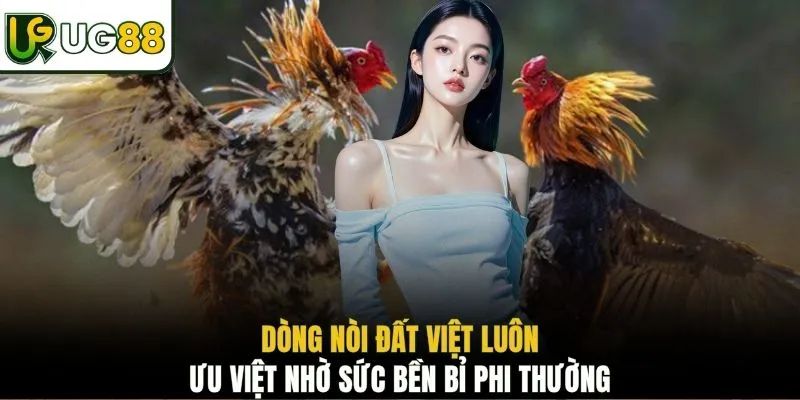 Dòng nòi Đất Việt luôn ưu việt nhờ sức bền bỉ phi thường