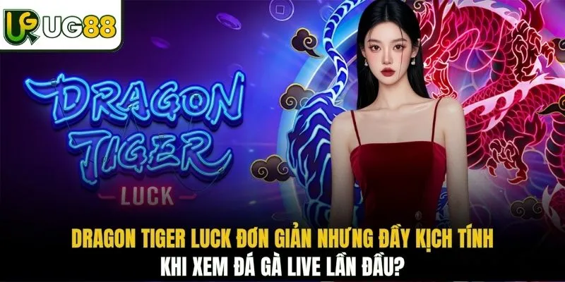 Dragon Tiger Luck đơn giản nhưng đầy kịch tính