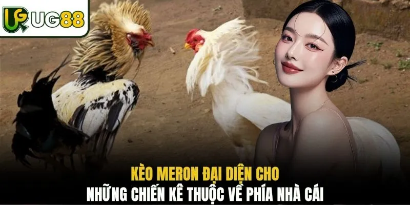 Kèo Meron đại diện cho những chiến kê thuộc về phía nhà cái