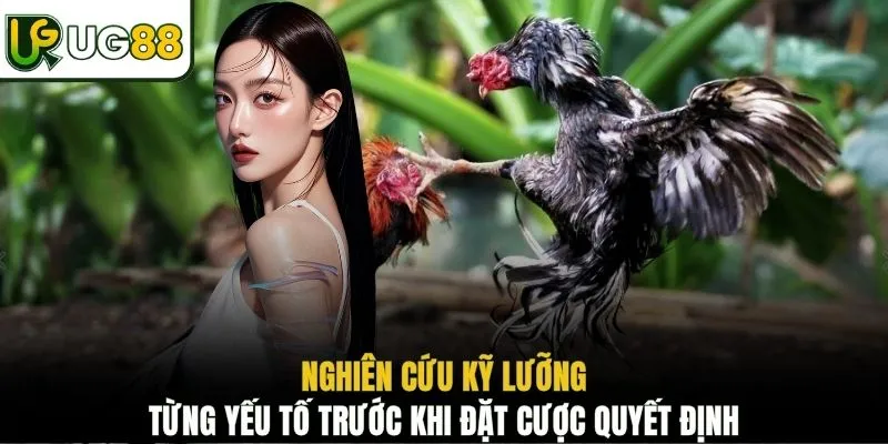 Nghiên cứu kỹ lưỡng từng yếu tố trước khi đặt cược quyết định 