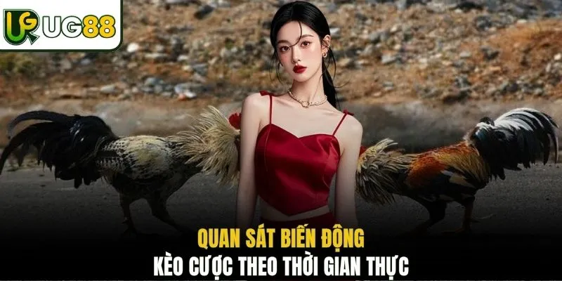 Quan sát biến động kèo cược theo thời gian thực 
