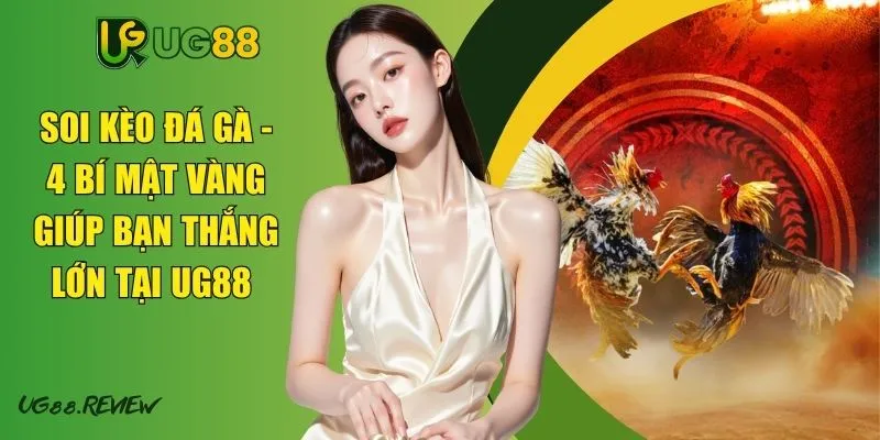 Soi Kèo Đá Gà - 4 Bí Mật Vàng Giúp Bạn Thắng Lớn Tại UG88