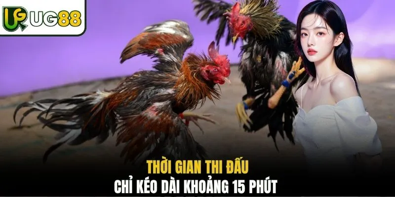 Thời gian thi đấu chi kéo dài khoảng 15 phút