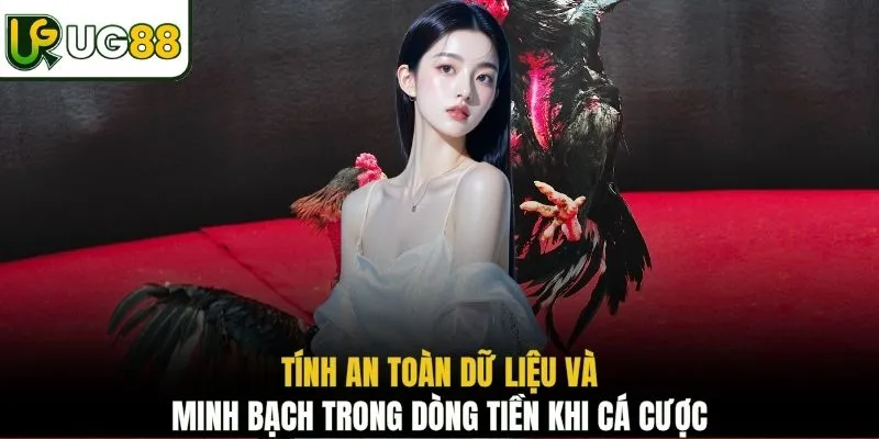 Tính an toàn dữ liệu và minh bạch trong dòng tiền khi cá cược