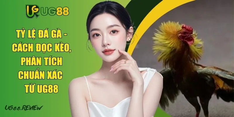 Tỷ Lệ Đá Gà - Cách Đọc Kèo, Phân Tích Chuẩn Xác Từ UG88