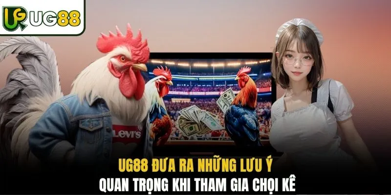 UG88 đưa ra những lưu ý quan trọng khi tham gia chọi kê